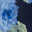 Navy Floral